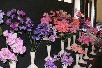 Photo copyright by Jane Findley